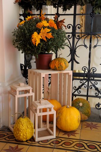 A vertical shot of a creative Halloween decoration with yellow leaves and green plants in a pot on wooden stands and pumpkins on the floor