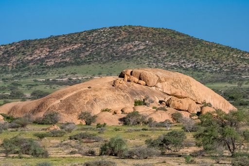 Namibian the rocks of Spitzkoppe in Damaraland, landscape with a tree