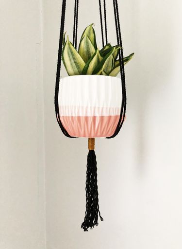 A vertical shot od a green plant in a white and pink hanging pot in a white room