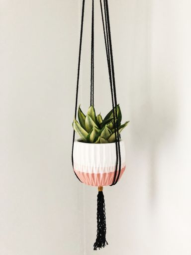 A vertical shot od a green plant in a white and pink hanging pot in a white room