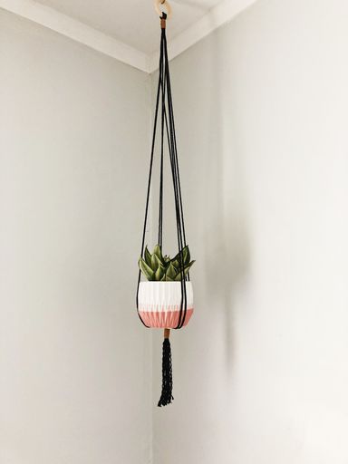 A vertical shot od a green plant in a white and pink hanging pot in a white room
