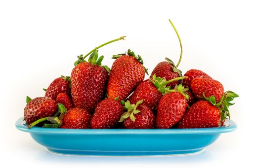 A closeup shot of fresh strawberries in a blue plate isolated on a white background