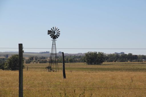 An old farm windmill in a field covered in the grass and trees under the sunlight