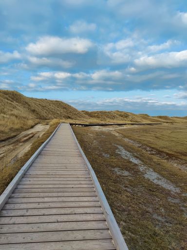 A vertical shot of a walking path in the field next to hills.