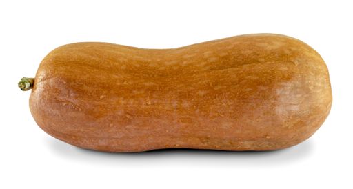 A closeup of a long pumpkin under the lights isolated on a white background