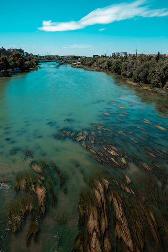 A vertical shot of a river with stones in it during daytime