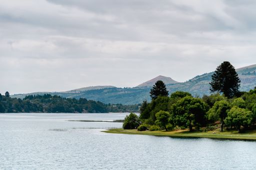 A body of water near the forested shore against a light cloudy sky