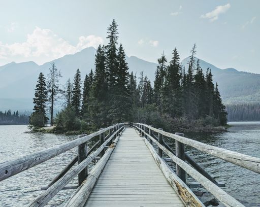 A beautiful shot of a wooden bridge over the water towards the forest with mountains in the background