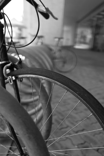 A vertical greyscale shot of the wheels of a bike