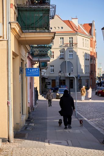 A vertical shot of a woman with her dogs on leash while walking at the old city street pavement