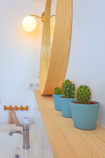 A beautiful shot of a mirror of the bathroom with wooden frame near three decorative plants in blue pots