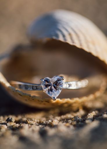 A selective closeup focus shot of a beautiful silver ring on the shell during daytime