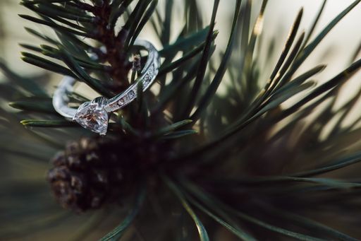 A selective closeup shot of an engagement ring on a fir tree branch with a blurred background