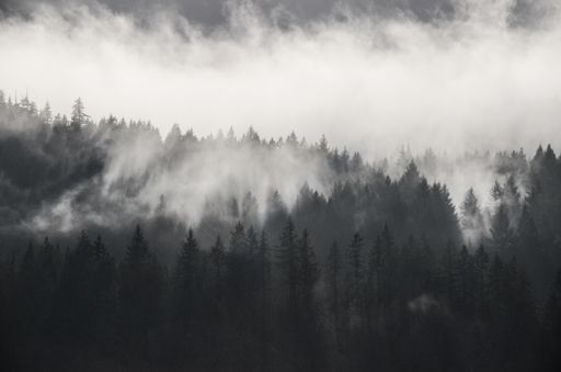 A beautiful shot of forested mountains in fog under a cloudy sky in black and white in British Columbia, Canada