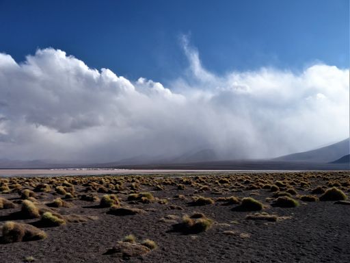 A beautiful shot of clouds in the mountain with grasses along the seashore