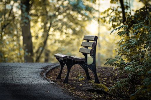 An amazing shot of a wooden bench in an autumnal park