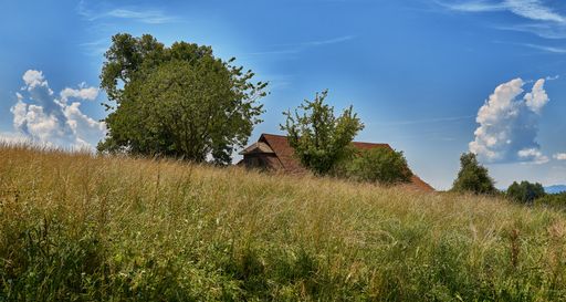A wide shot of a grassy hill with buildings near trees under a blue sky at daytime