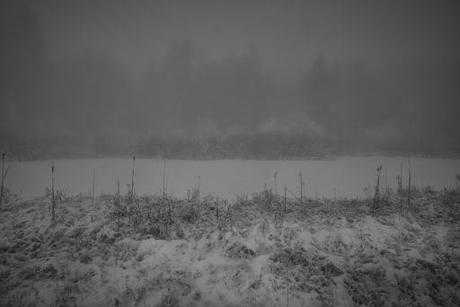 A beautiful shot of a snowy field with trees in a fog in the background
