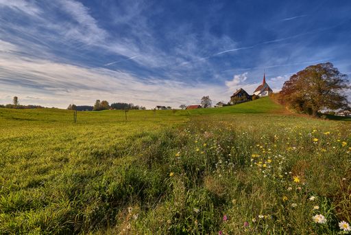 A beautiful shot of a grassy field with buildings in the distance under a blue sky at daytime