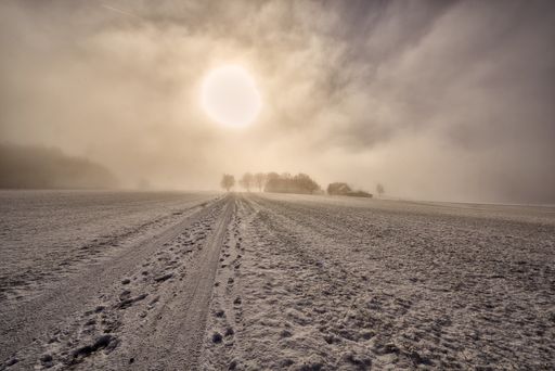 A beautiful shot of a snowy field with trees and buildings in the distance under a cloudy sky