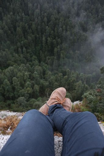 A mesmerizing shot of the evergreen fir trees with male legs on the foreground
