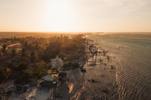 An aerial view of a beach with palm trees on a sunrise