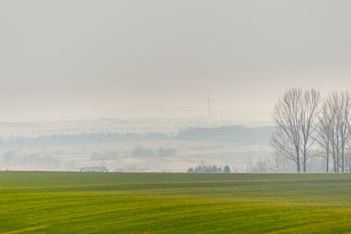 A landscape view of a green field surrounded by dry leafless trees on an overcast day in Poland