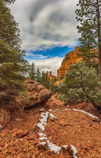 A vertical shot of trees and the red sandy rocks at the Red Canyon in the Dixie National Forest, Utah, USA