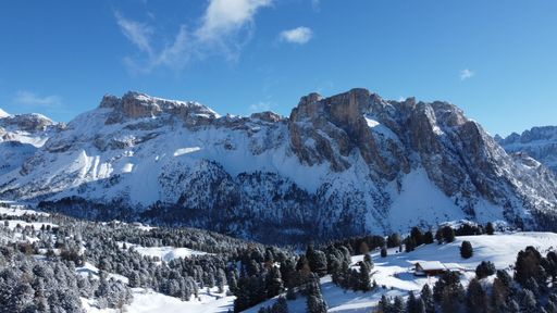 A beautiful landscape view of green leaved trees in a snow-land and snowy mountain against blue sky in bright sunlight