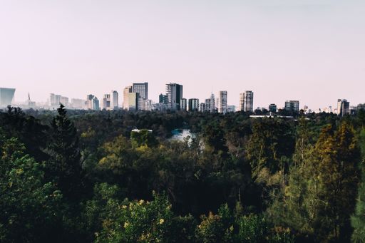An aerial shot of Chapultepec Forest, Mexico