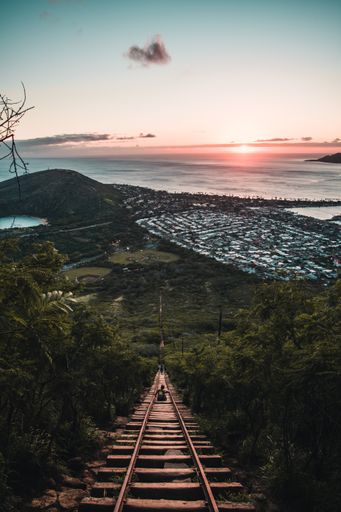 A vertical shot of a wooden railroad going downhill surrounded by trees in a city during sunset
