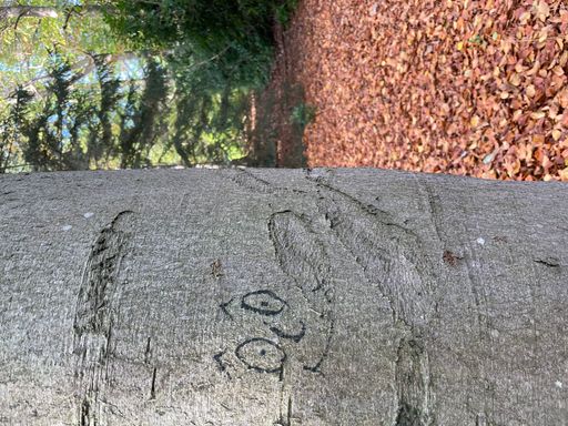 A vertical shot of tree a face of a man painted on it with cloudy sky on the background