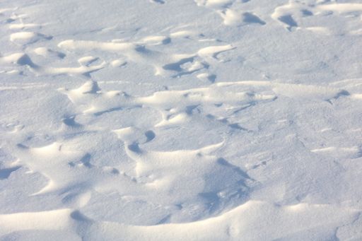 A closeup of white snow texture under the sunlight