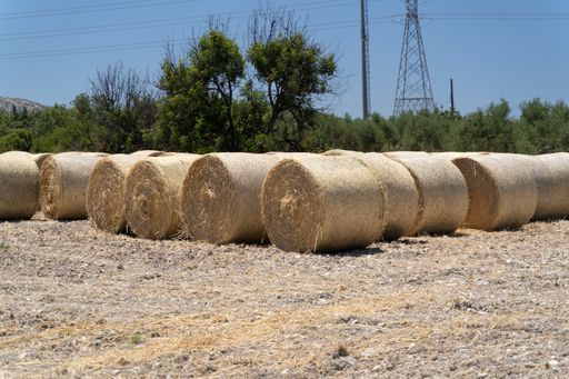 A closeup shot of round piles of hay in the field with trees on the background