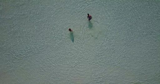 An aerial view of a swimming Caucasian couple in Rasdhoo Island, The Maldives