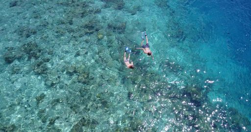 An aerial view of a swimming Caucasian couple in Rasdhoo Island, The Maldives
