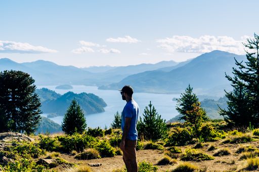 A man standing near the bushes admiring the beautiful view of the lake and mountains