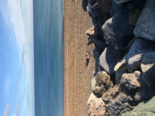 A vertical shot of a coastline captured from the rocky beach