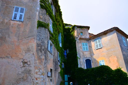 A low angle shot of old buildings with climbing plants under the bright sunlight