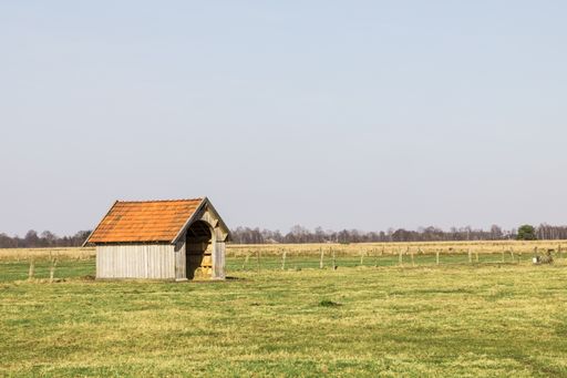 An old shed in a middle of a field in Recker Moor, Recke, Germany