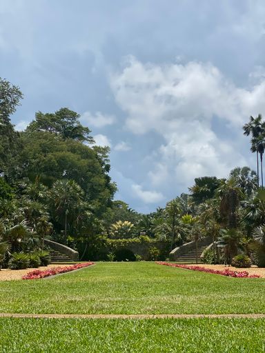 A vertical shot of amazing plants in the Fairchild Tropical Botanic Garden, Miami, Florida, USA