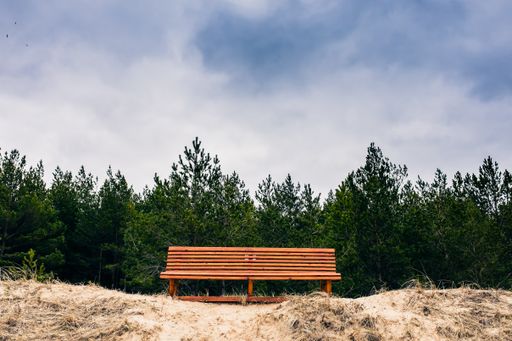 A bench in front of the trees under the clouded sky