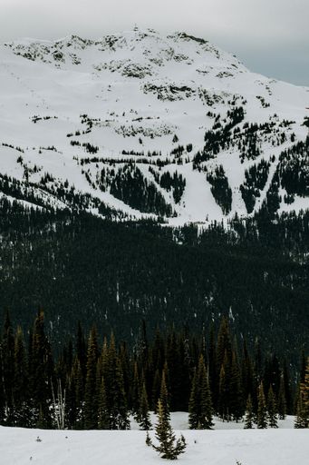 A vertical shot of a mountain range covered with snow against a cloudy sky