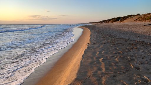 An aerial view of the sandy Sabaudia beach in the sunny afternoon in spring, Italy