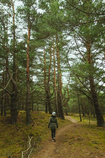 A vertical shot of a woman walking through the forest