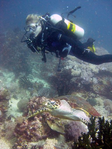 A vertical shot of scuba diver wearing diving suit, fins and equipment swimming near sea turtle and coral reefs
