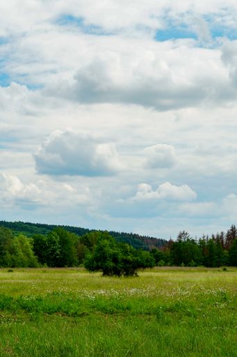 A vertical shot of a beautiful green valley under the cloudy sky