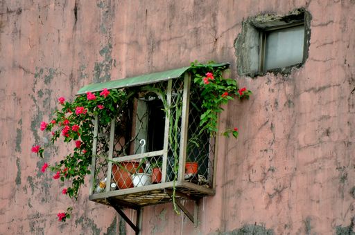 A beautiful shot of a window full of flowers and plant pots in an old building