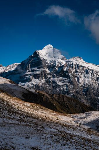 A breathtaking shot of the snow-capped rocky mountains under a blue sky