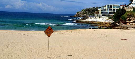 A panoramic shot of a seashore near the sea under a blue cloudy sky